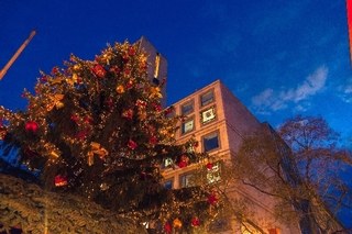 クリスマス時期の建物.jpg